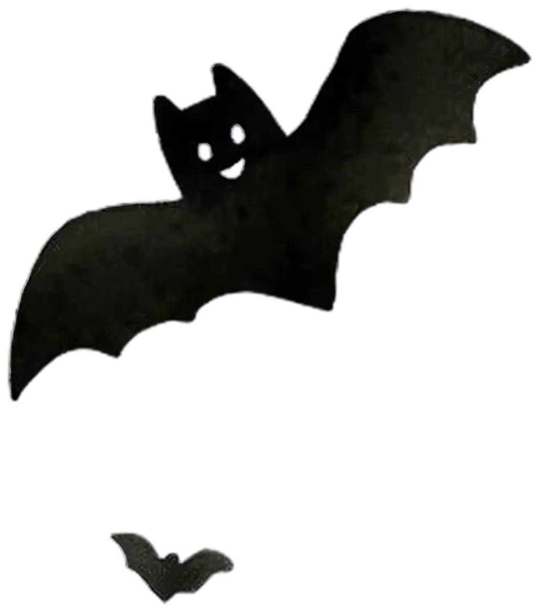 Fledermaus-Schatten – Bügelbild